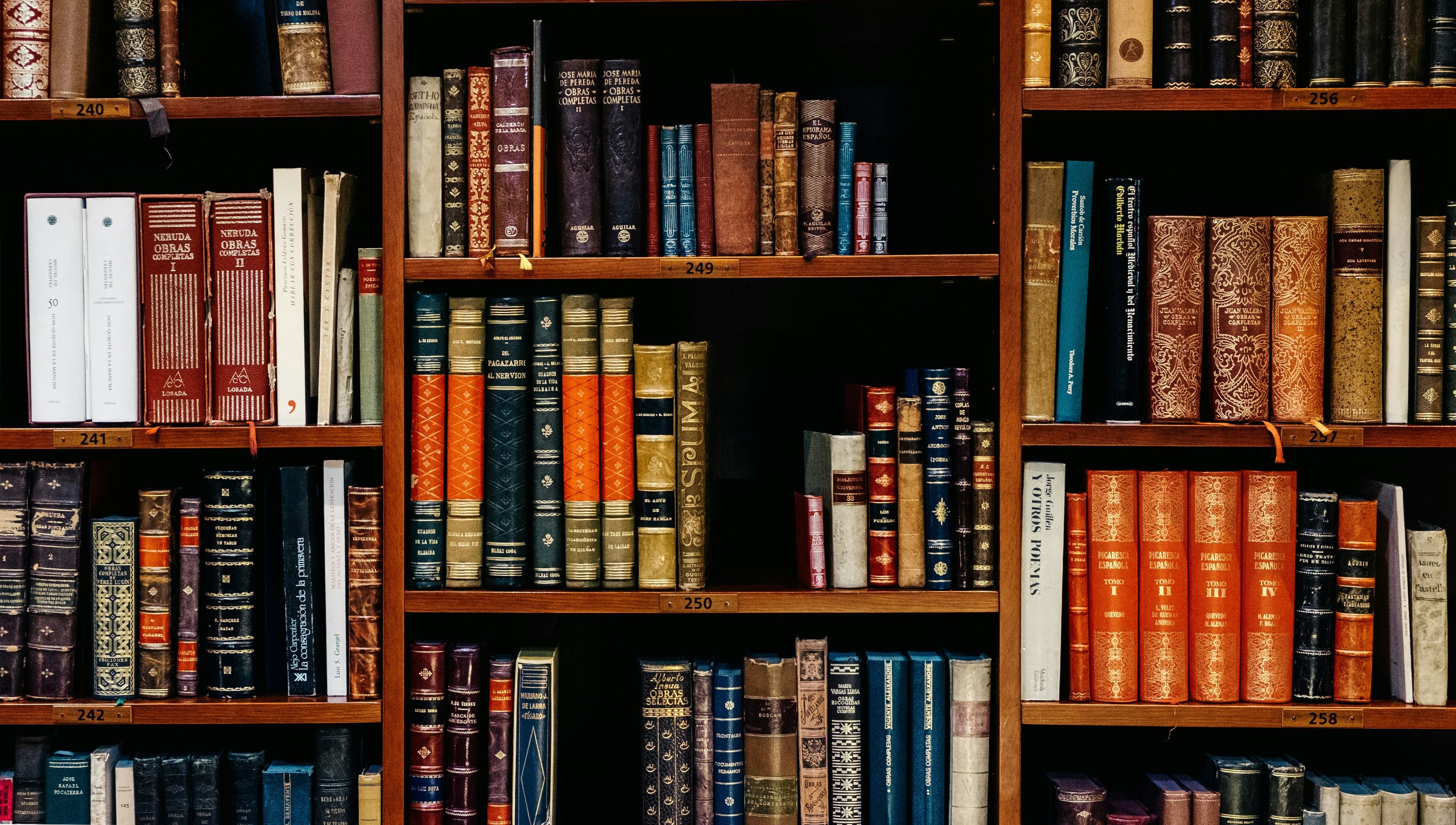 বিশেষ অফার